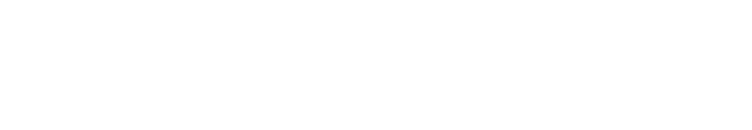 Auto Genius